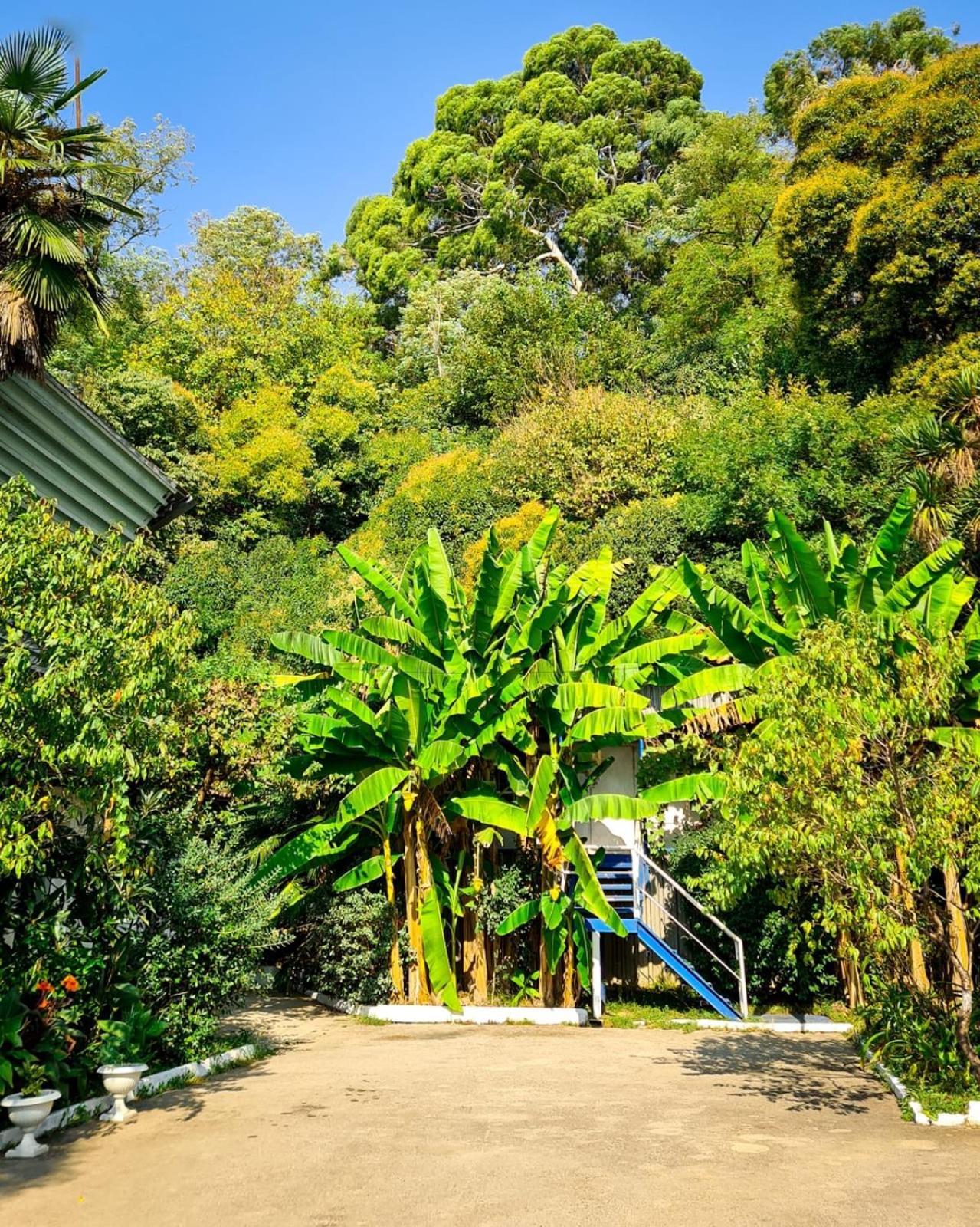 Baza Otdyha Miya Hotel Goedaoeta Buitenkant foto