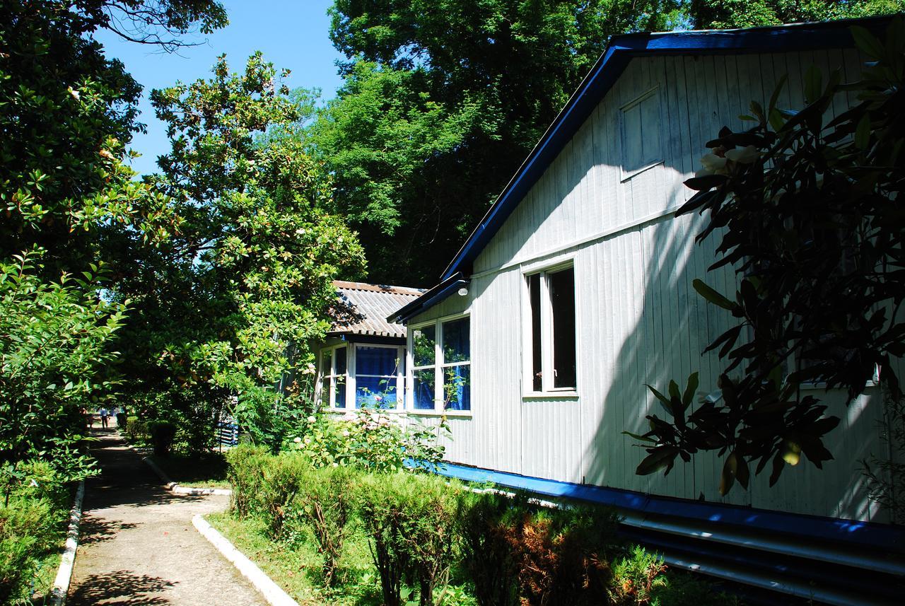 Baza Otdyha Miya Hotel Goedaoeta Buitenkant foto
