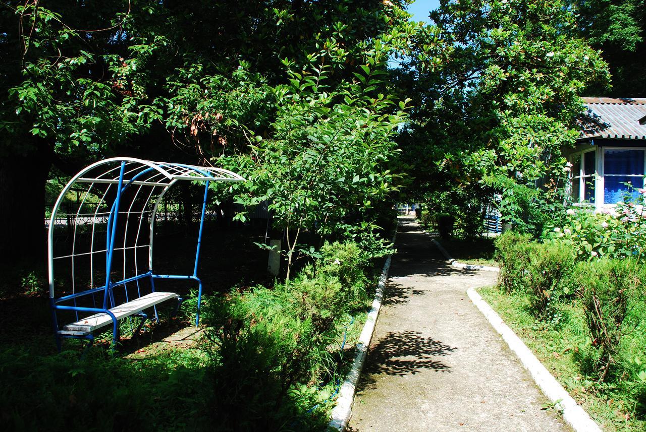 Baza Otdyha Miya Hotel Goedaoeta Buitenkant foto